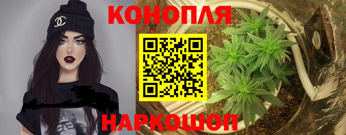 Канабис OG Kush  Вход с VPN  Бошки марихуана планчик  Бошки марихуана марихуана  Нижнеудинск 